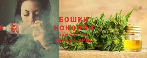 ПСИЛОЦИБИНОВЫЕ ГРИБЫ Волоколамск