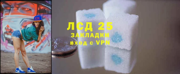 ПСИЛОЦИБИНОВЫЕ ГРИБЫ Бородино