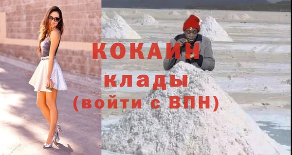 ПСИЛОЦИБИНОВЫЕ ГРИБЫ Бородино