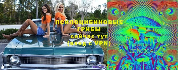 трава Верхнеуральск